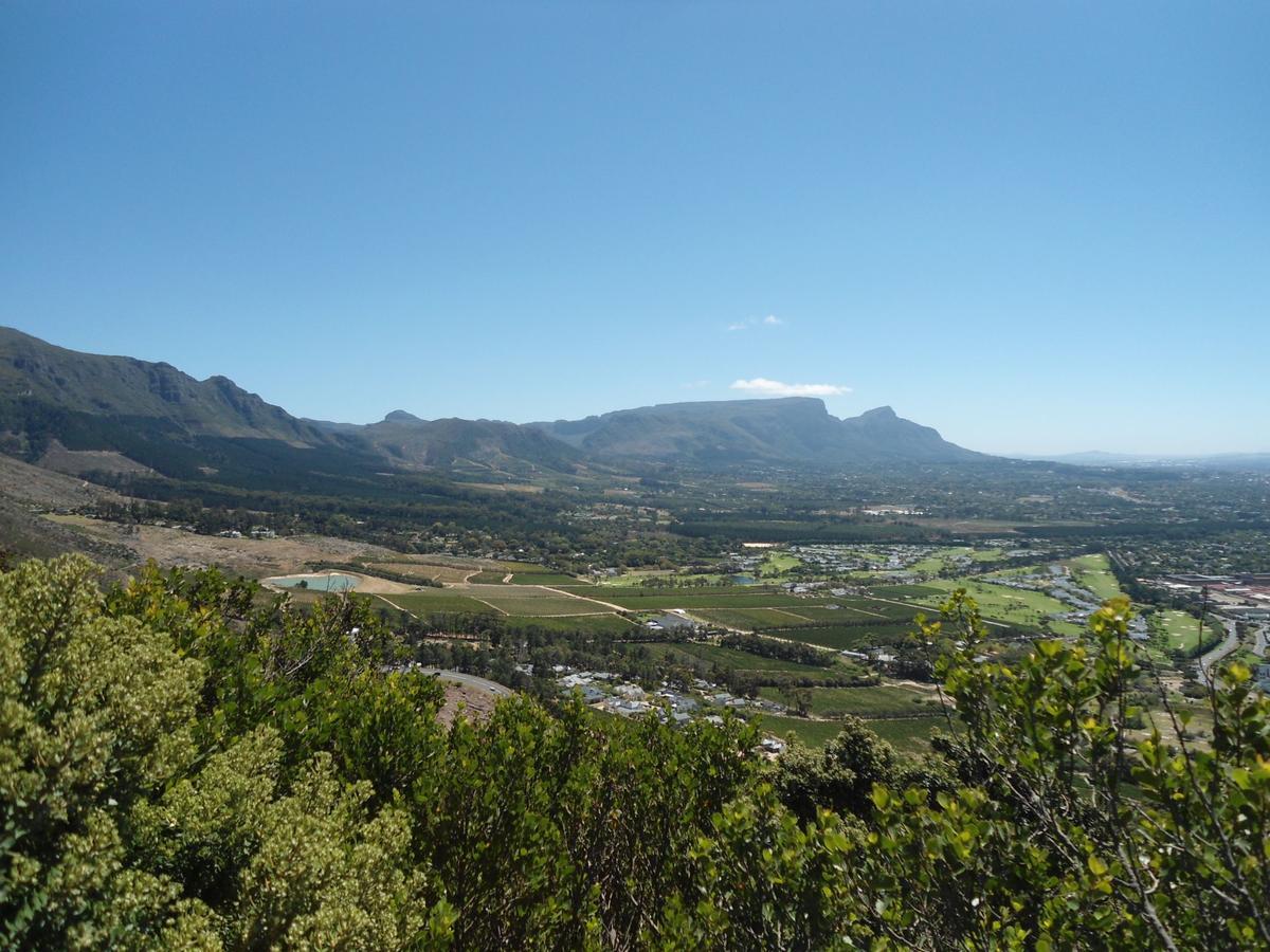 Constantia Cottages Buitenkant foto